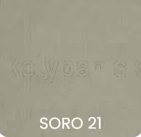 Soro21